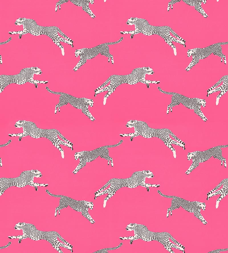 Scalamandre Leaping Cheetah Cotton Print Bubblegum Fabric Sample SC166340003