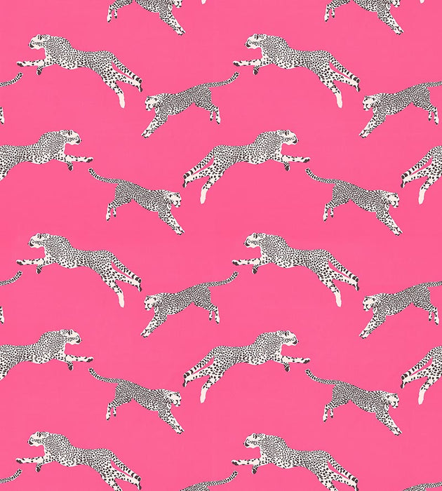 Scalamandre Leaping Cheetah Cotton Print Bubblegum Fabric Sample SC166340003