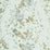 Scalamandre Antonella Lampas Grey Garden Fabric SC272240003