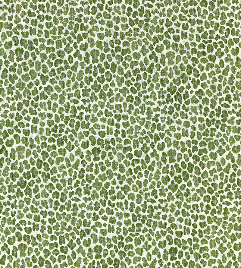 Scalamandre Backyard Bengal Ivy Fabric Sample SC273160003