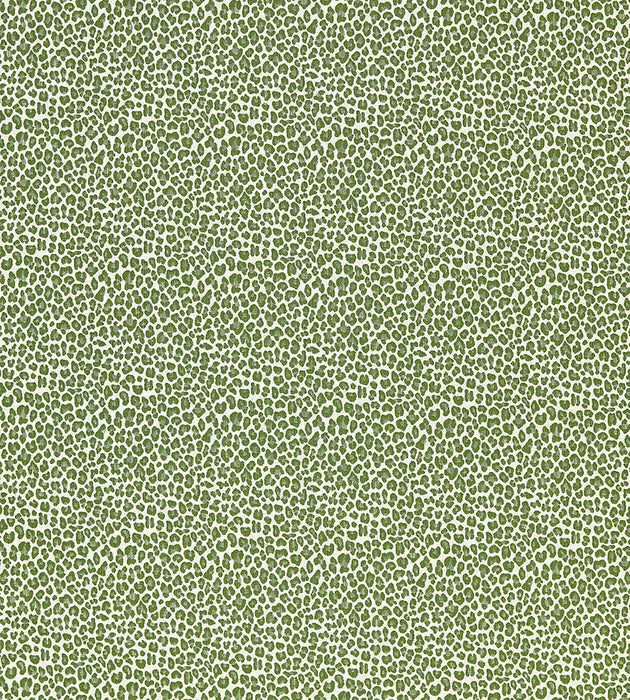 Scalamandre Backyard Bengal Ivy Fabric SC273160003
