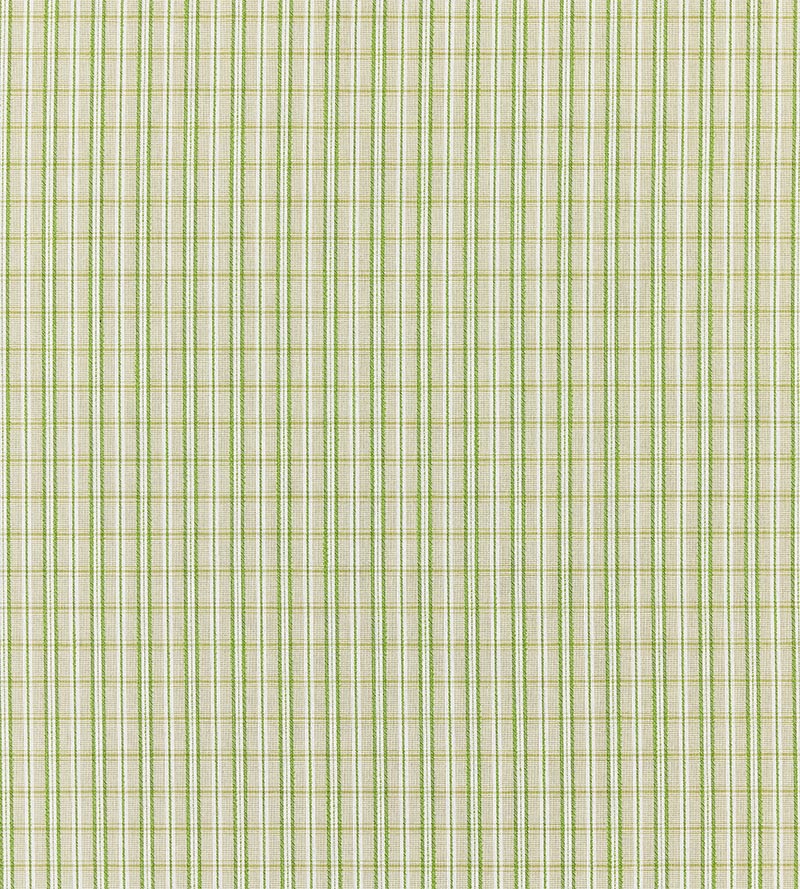 Scalamandre Check Please - Outdoor Fern Fabric Sample SC273180003