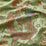 Scalamandre Dragon Tableau Spring Multi Fabric Sample SC273270003