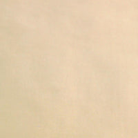 Scalamandre Dynasty Taffeta Cream Fabric SC363830003