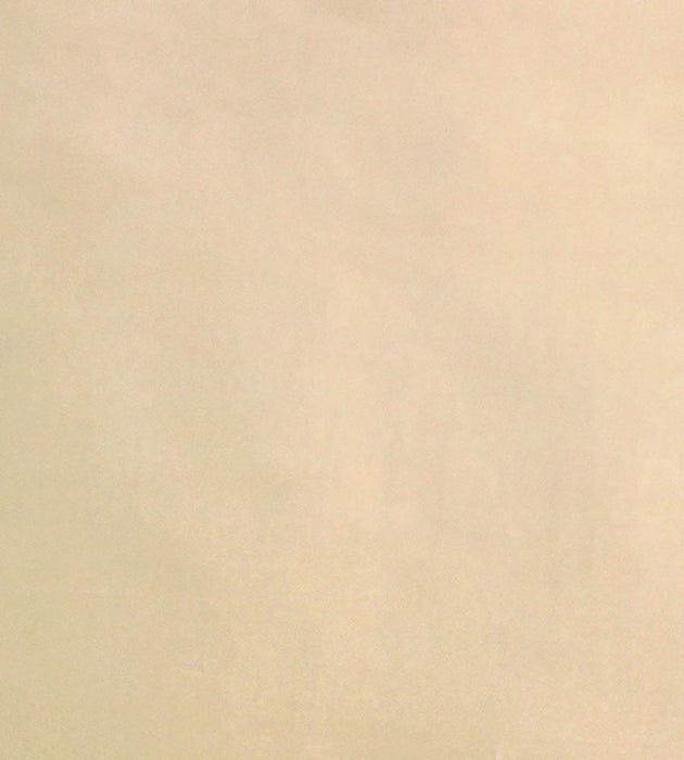 Scalamandre Dynasty Taffeta Cream Fabric Sample SC363830003