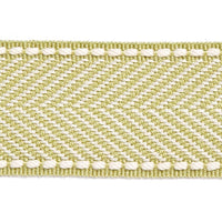 Scalamandre Montauk Herringbone Tape Lettuce Trim SCT32850003