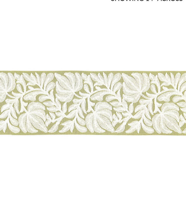 Scalamandre Coventry Embroidered Tape Celery Trim SCT32960003