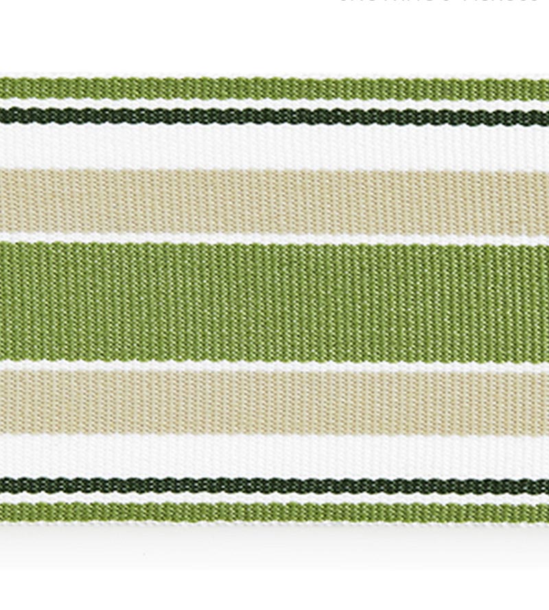 Scalamandre Marina Stripe Tape Palm Trim SCT33110003