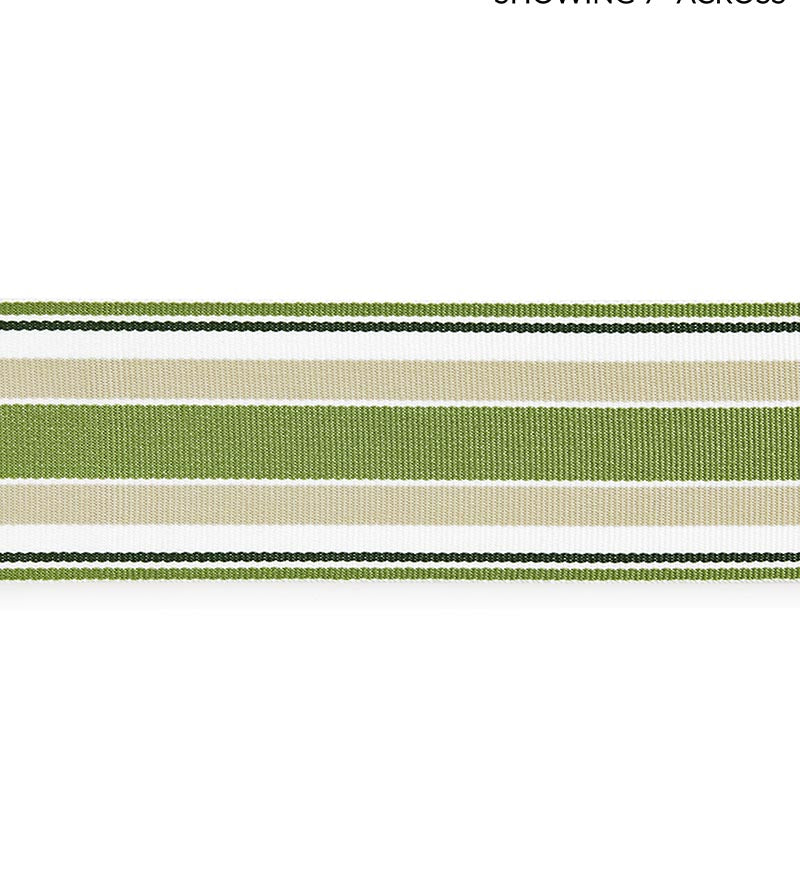 Scalamandre Marina Stripe Tape Palm Trim SCT33110003