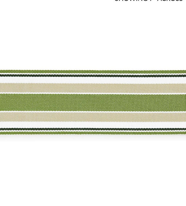 Scalamandre Marina Stripe Tape Palm Trim Sample SCT33110003