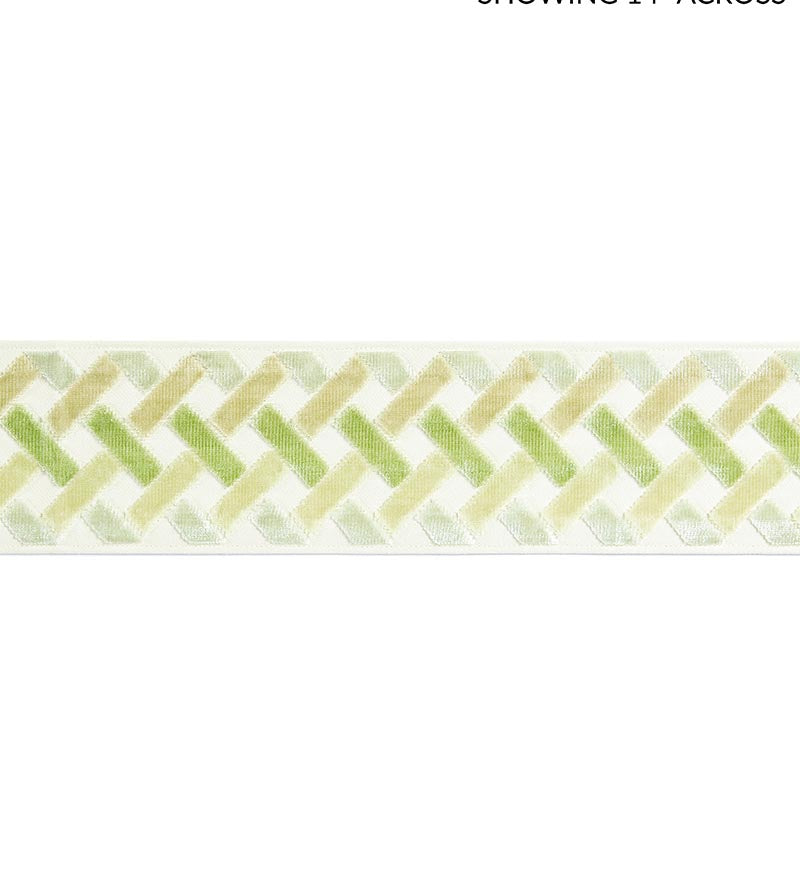 Scalamandre Parquet Velvet Tape Meadow Trim Sample SCT33260003