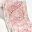 Scalamandre Paisley Embroidered Tape French Rose Trimming Sample SCT33400003