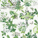 Scalamandre Shantung Garden | Removable Verdance Wallpaper Sample SCWP88377PS0003