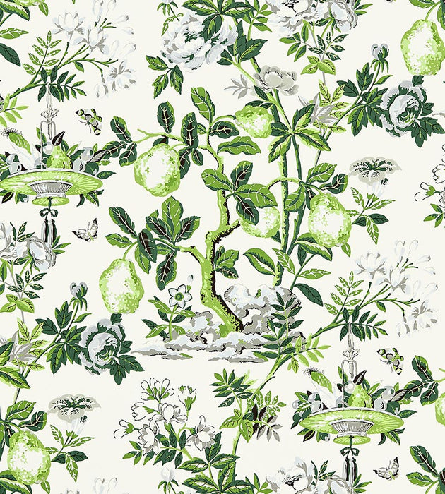 Scalamandre Shantung Garden Verdance Wallpaper Sample SCWP883770003