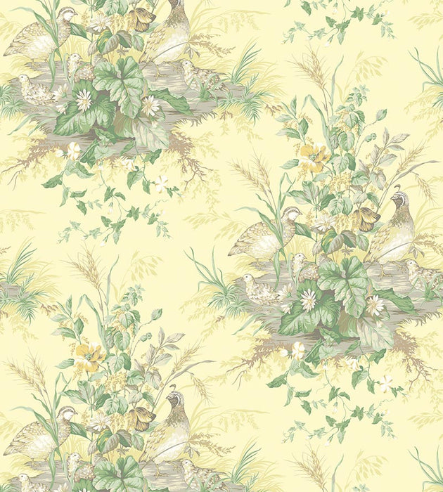 Scalamandre Edwin'S Covey Sunlit Wallpaper Sample SCWP884340003