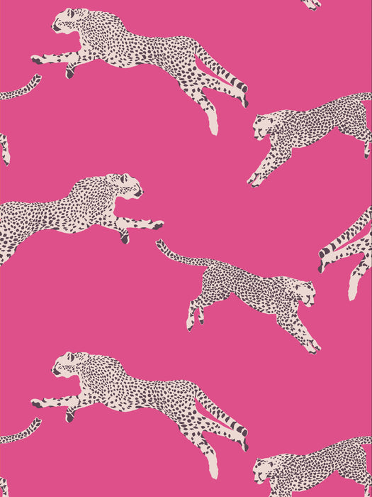 Scalamandre Leaping Cheetah Bubblegum Wallpaper SCWP88449D0003