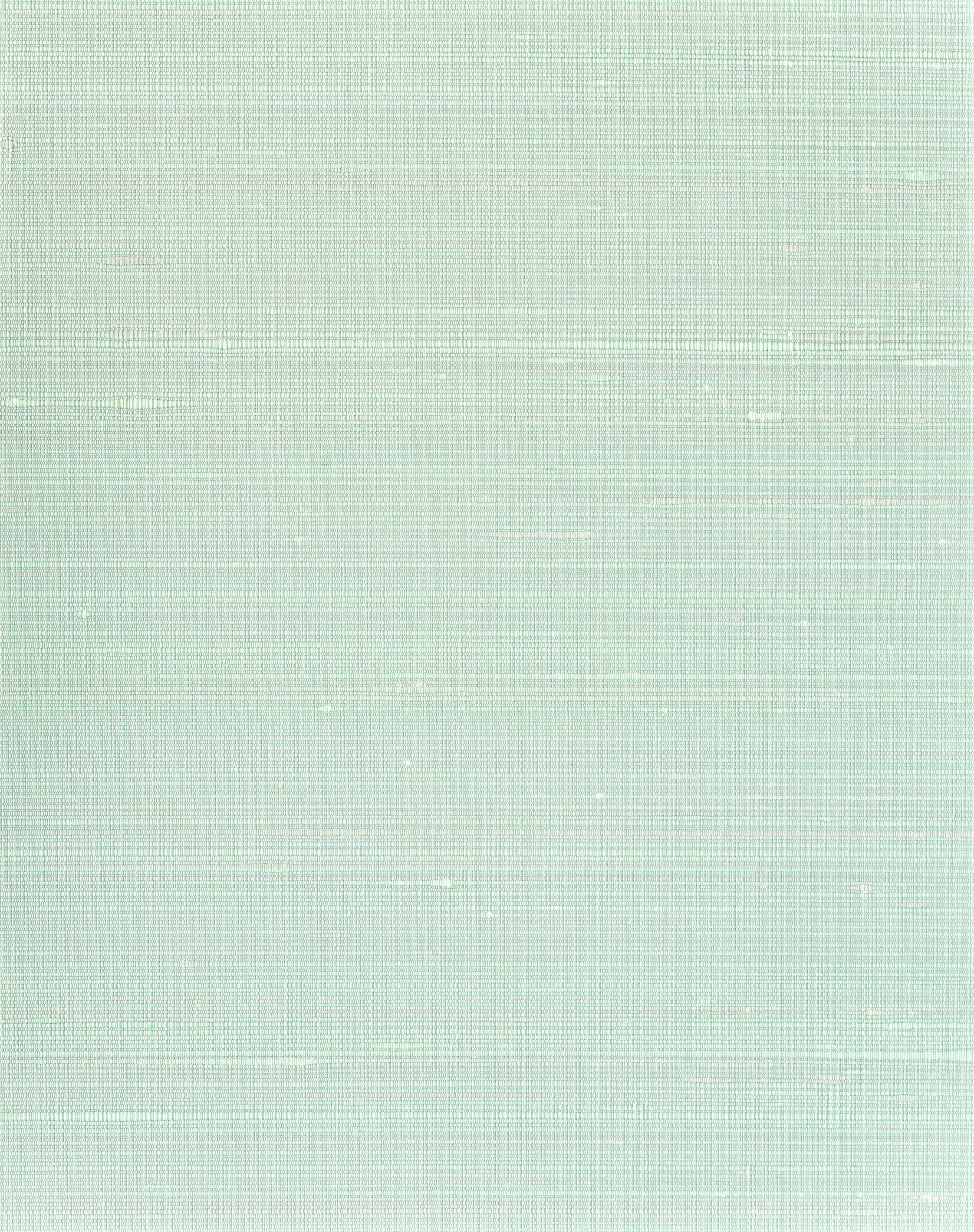 Scalamandre Ravi Aqua Wallpaper SCWP885740003