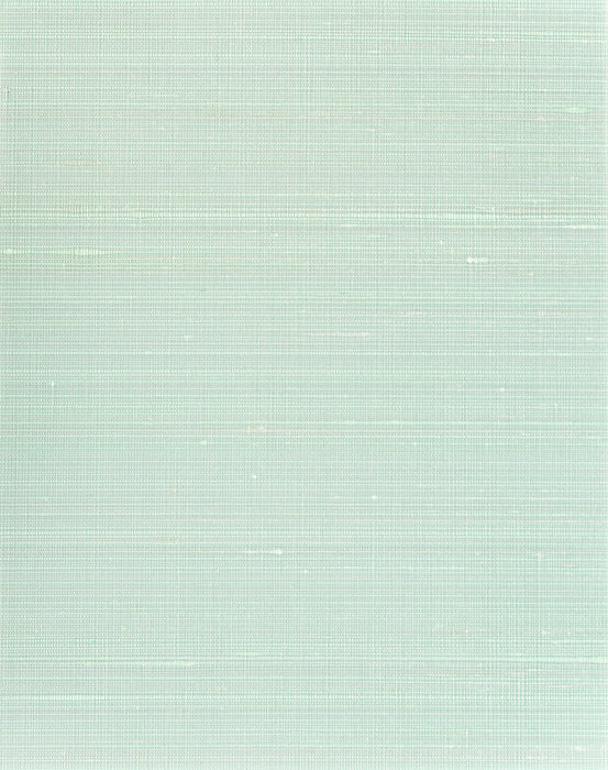 Scalamandre Ravi Aqua Wallpaper Sample SCWP885740003