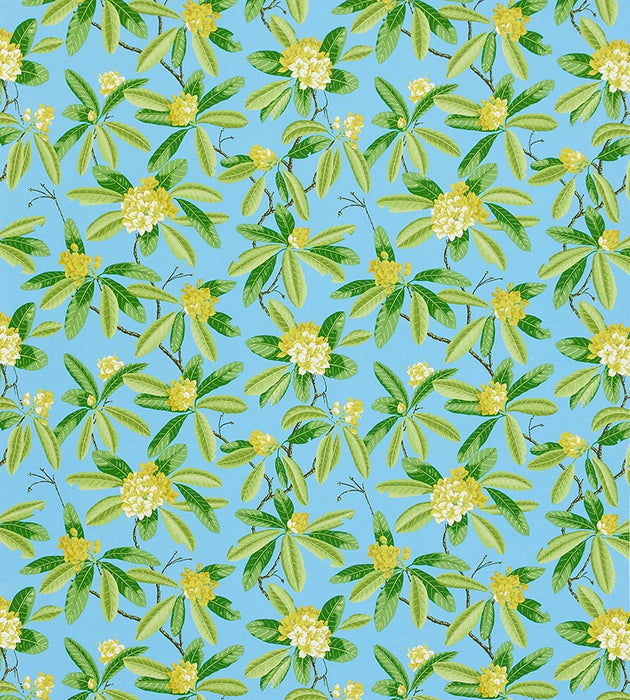 Scalamandre Rhododendron - Outdoor Carolina Fabric Sample SC16454M0004