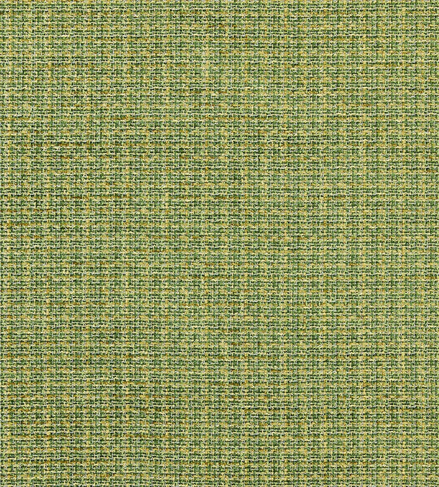 Scalamandre Highland Chenille Grass Fabric Sample SC272570004