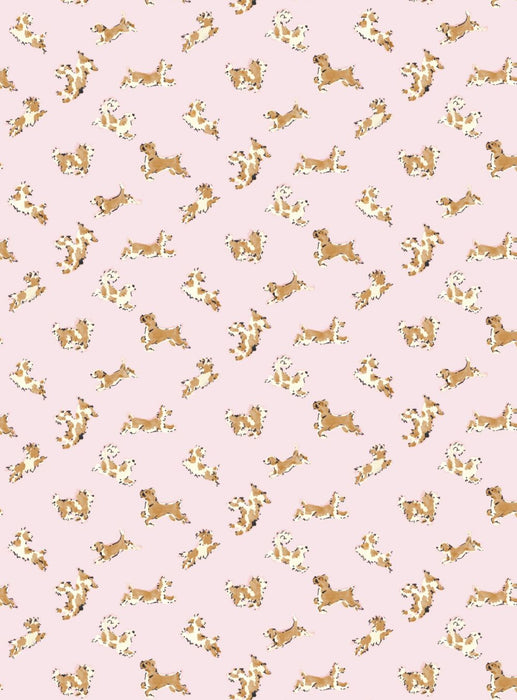 Scalamandre Fete De Chien Ballerina Pink And Honey Wallpaper Sample SCWP88183D0004