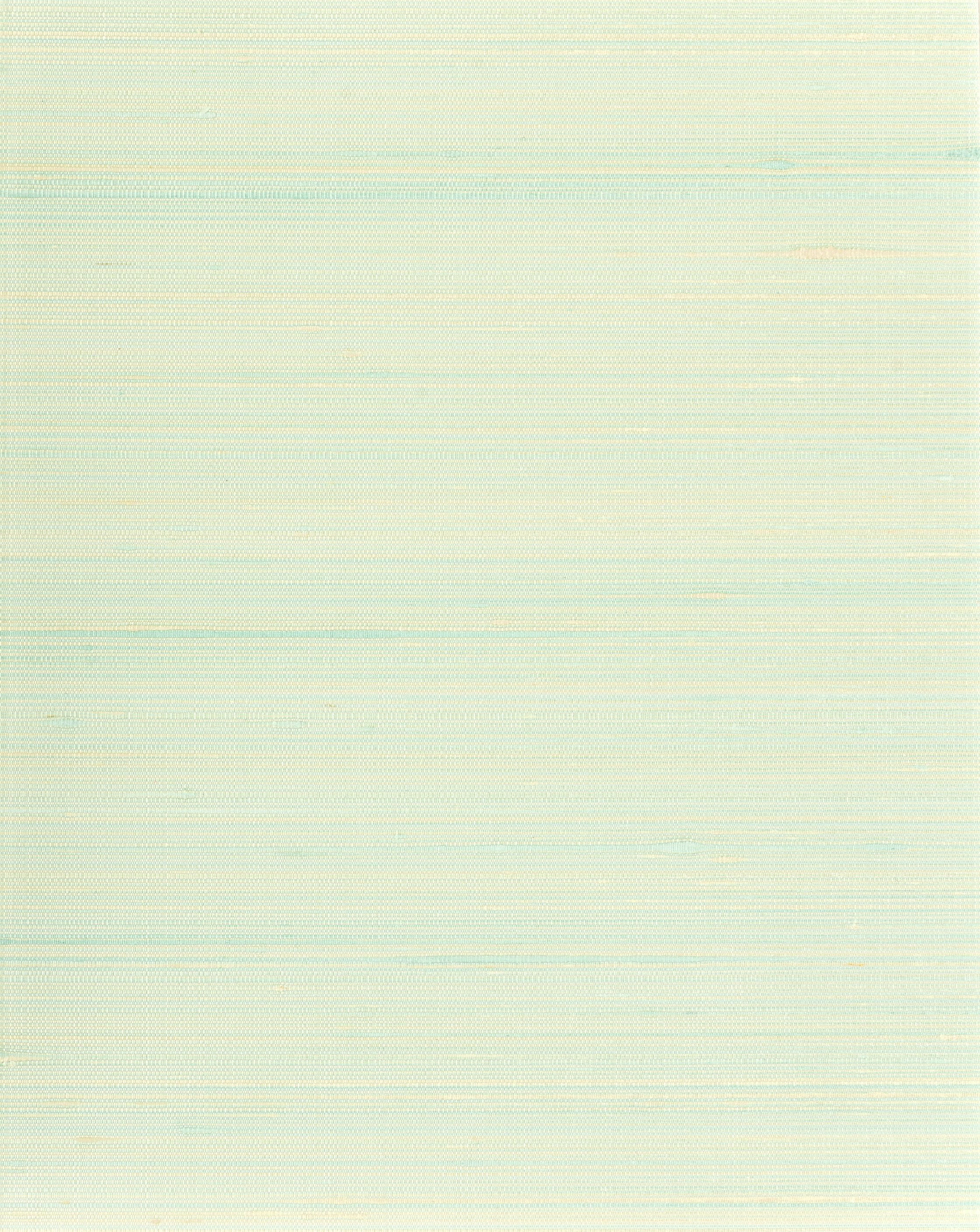 Scalamandre Ravi Tidewater Wallpaper SCWP885740004