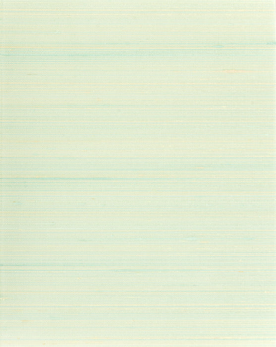 Scalamandre Ravi Tidewater Wallpaper Sample SCWP885740004