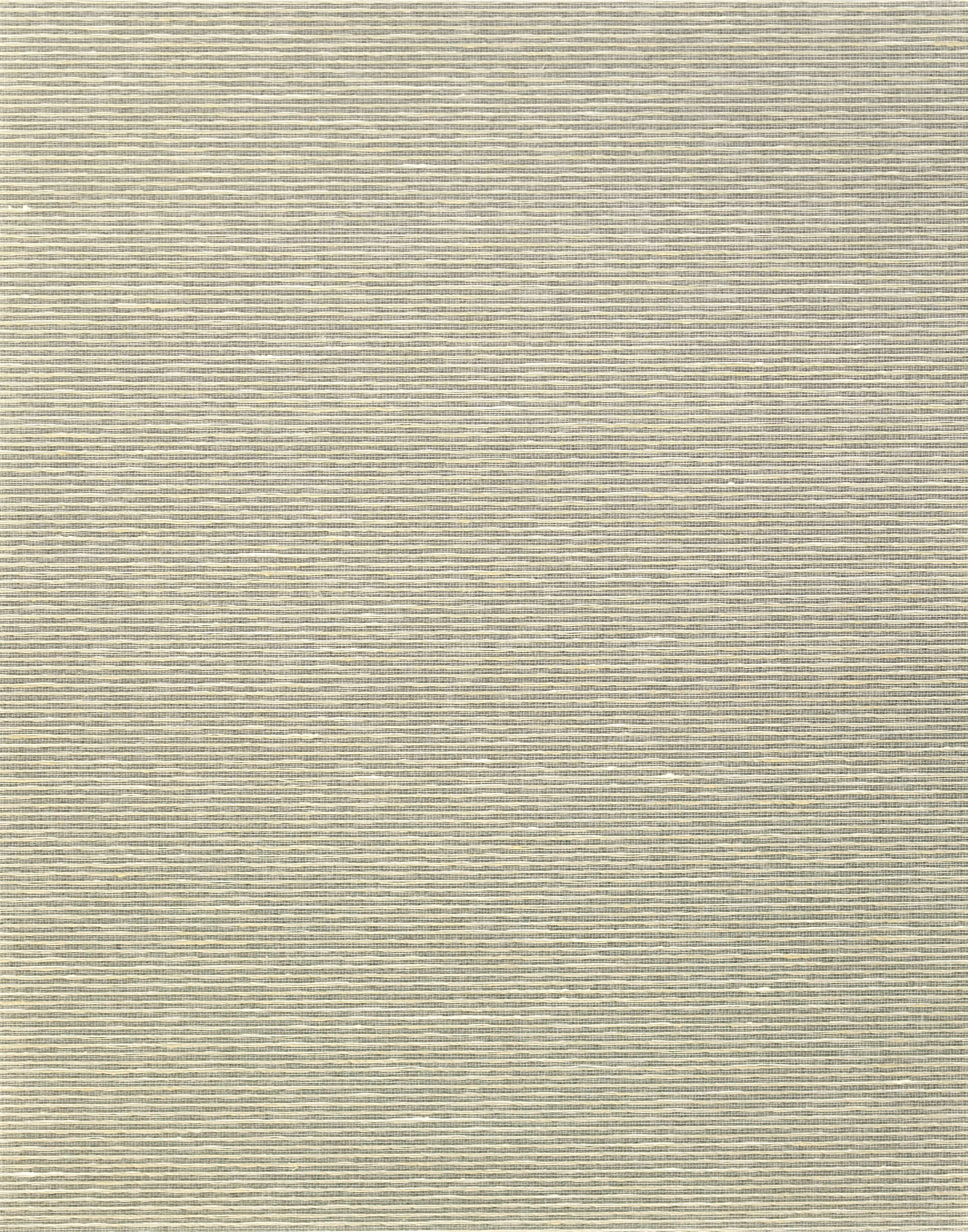 Scalamandre Aditi Plain Rhino Wallpaper Sample SCWP885800004