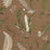 Scalamandre Elsie De Wolfe - Outdoor Greens On Brown Fabric Sample SC164250005