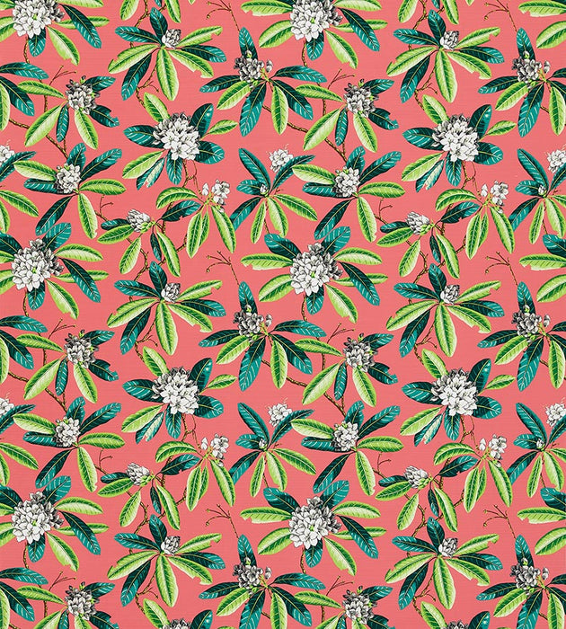 Scalamandre Rhododendron - Outdoor Flamingo Fabric Sample SC16454M0005