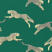 Scalamandre Leaping Cheetah Cotton Print Evergreen Fabric SC166340005