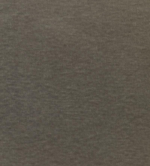 Scalamandre Cary Elephant Fabric Sample SC272610005