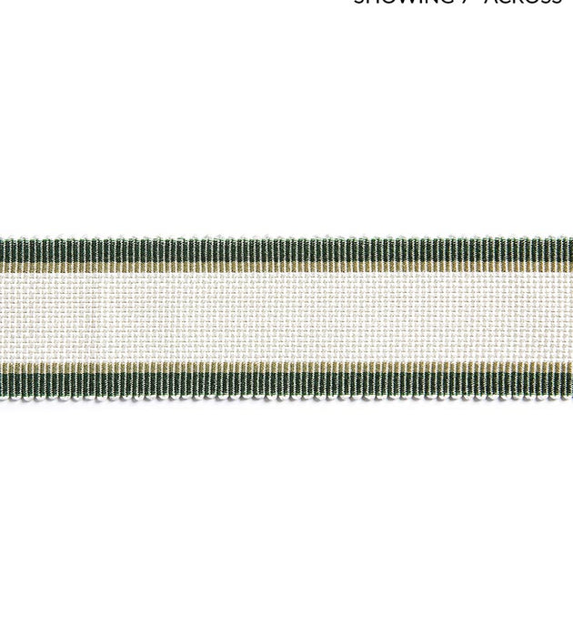 Scalamandre Odeon Shimmer Braid Ivy Trim Sample SCV12490005