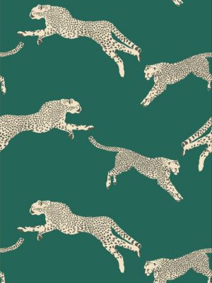 Scalamandre Leaping Cheetah Evergreen Wallpaper Sample SCWP88449D0005