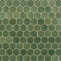 Scalamandre Andante Aloe Wallpaper SCWP884770005