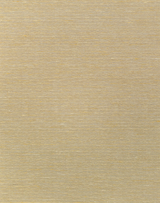Scalamandre Aditi Plain Raffia Wallpaper Sample SCWP885800005