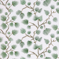Scalamandre Pignoli Fern Wallpaper SCWP88593D0005