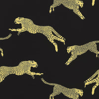 Scalamandre Leaping Cheetah Cotton Print Black Magic Fabric SC166340006