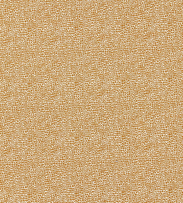 Scalamandre Shagreen Beige Fabric Sample SC26914M0006