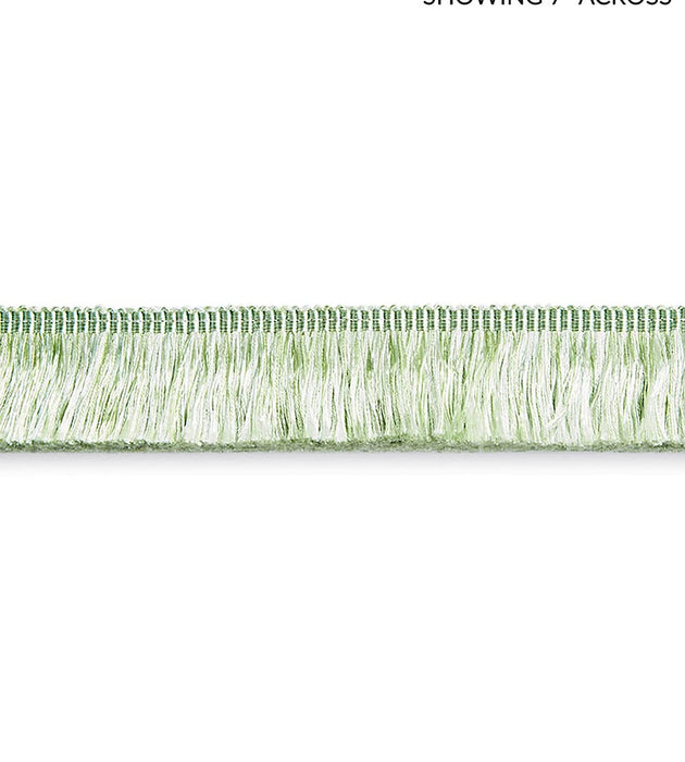 Scalamandre Gripsholm Brush Fringe Pistachio Trim SCFC14970006