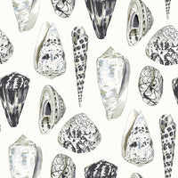 Scalamandre Coquina Graphite Wallpaper SCWP883650006