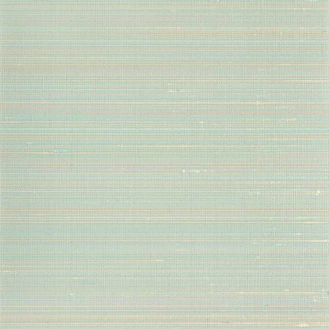 Balen Ravi Wallpaper Scalamandre Ravi Sky SCWP885740001 Wallpaper | 40% Off (Samples)