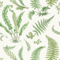 Scalamandre Elsie De Wolfe Fern Wallpaper SCWP88592D0006