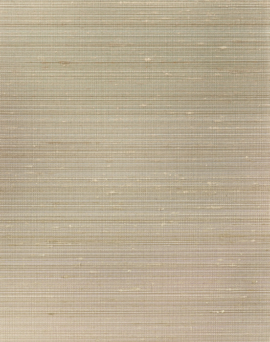 Scalamandre Ilesha Mud Wallpaper Sample SCWP885790007