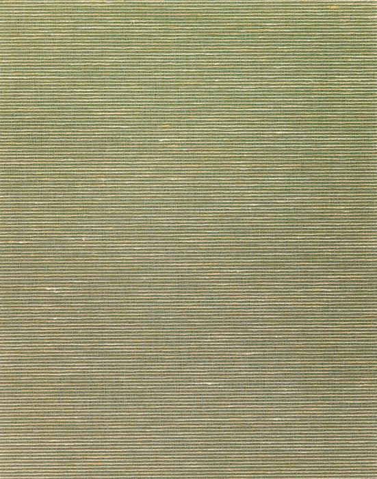 Scalamandre Aditi Plain Olive Wallpaper Sample SCWP885800008