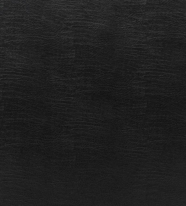 Scalamandre Cary Onyx Fabric Sample SC272610010