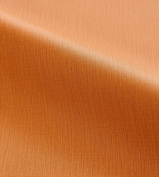 Scalamandre Lauren Mesa Fabric Sample SC272640010