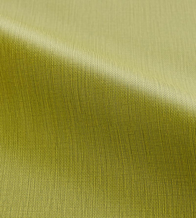 Scalamandre Lauren Leek Fabric Sample SC272640011