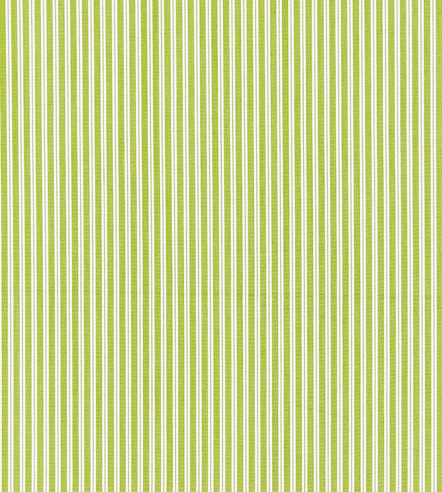 Scalamandre Kent Stripe Pear Fabric Sample SC363950012