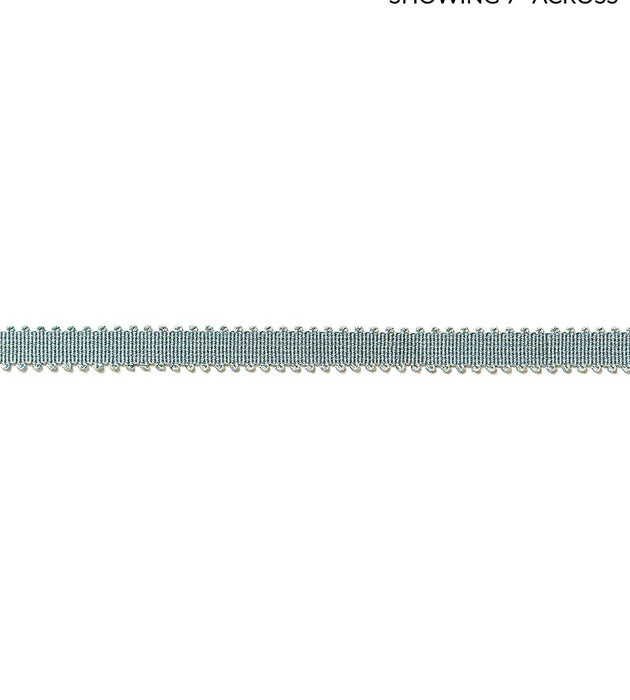 Scalamandre Lancaster Gimp Aqua Trim SCV6580012
